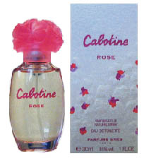 CABOTINE ROSE